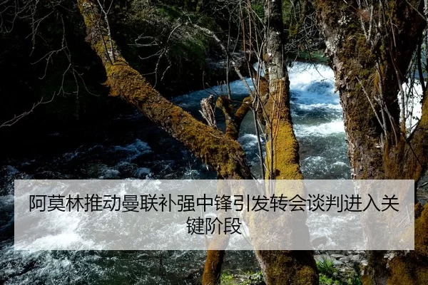 阿莫林推动曼联补强中锋引发转会谈判进入关键阶段