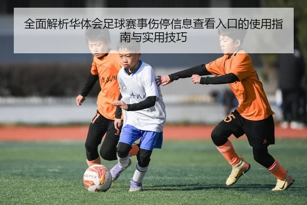 全面解析华体会足球赛事伤停信息查看入口的使用指南与实用技巧
