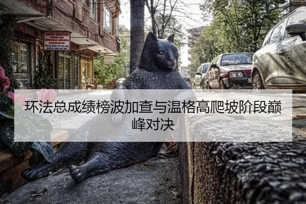 环法总成绩榜波加查与温格高爬坡阶段巅峰对决