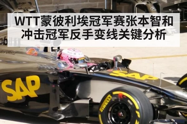 WTT蒙彼利埃冠军赛张本智和冲击冠军反手变线关键分析